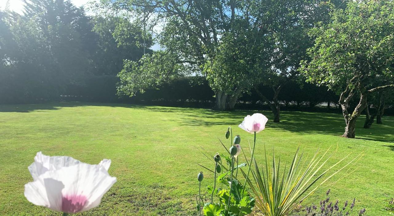 مبيت وإفطار كيلتنهام Hope Orchard المظهر الخارجي الصورة
